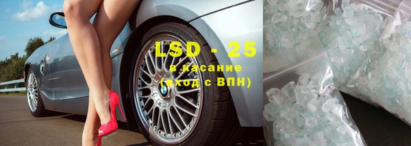 ПСИЛОЦИБИНОВЫЕ ГРИБЫ Ладушкин