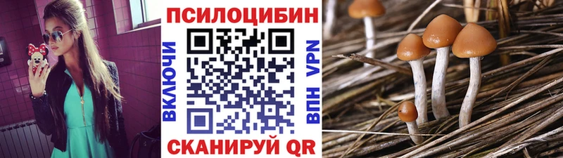 Псилоцибиновые грибы мицелий Котово